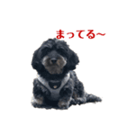 愛犬スパイクくん1（個別スタンプ：2）