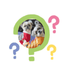 シーズー犬親子のキアヌとレオン（個別スタンプ：5）
