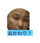 ポコ先輩3/17（個別スタンプ：1）