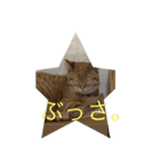 かんちゃんと、ずっくん。vol.4（個別スタンプ：2）