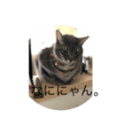かんちゃんと、ずっくん。vol.4（個別スタンプ：4）