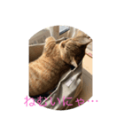 かんちゃんと、ずっくん。vol.4（個別スタンプ：8）