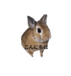 ハッピーマン（個別スタンプ：3）