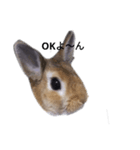 ハッピーマン（個別スタンプ：4）