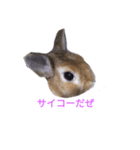 ハッピーマン（個別スタンプ：7）