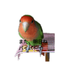 ちーたんまん（個別スタンプ：4）