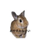 ちーたんまん（個別スタンプ：8）