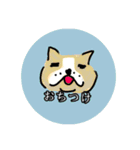 ゆるゆるワンとゆるゆるニャン（個別スタンプ：11）
