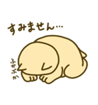 ハマグリスタンプ（個別スタンプ：5）