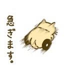 ハマグリスタンプ（個別スタンプ：18）