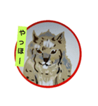 格好いい動物達（個別スタンプ：7）
