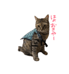 コジローと愉快な仲間たち（個別スタンプ：1）