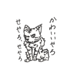 顔が変わらない猫（個別スタンプ：6）