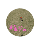 ゴルフ！！（個別スタンプ：4）