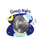 リアル黒猫の日常（個別スタンプ：2）
