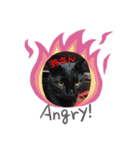 リアル黒猫の日常（個別スタンプ：6）