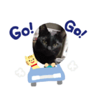 リアル黒猫の日常（個別スタンプ：8）