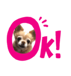 ノエル1（個別スタンプ：3）