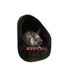 うさぎのかぴやん（個別スタンプ：4）