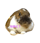 うさぎのかぴやん（個別スタンプ：6）