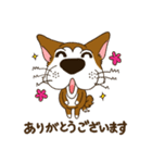表情豊かな犬のぽんちゃん（個別スタンプ：6）