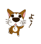 表情豊かな犬のぽんちゃん（個別スタンプ：7）
