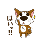 表情豊かな犬のぽんちゃん（個別スタンプ：8）