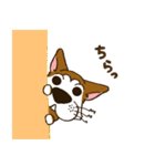 表情豊かな犬のぽんちゃん（個別スタンプ：20）