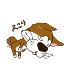 表情豊かな犬のぽんちゃん（個別スタンプ：22）