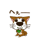 表情豊かな犬のぽんちゃん（個別スタンプ：25）