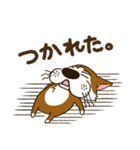 表情豊かな犬のぽんちゃん（個別スタンプ：29）