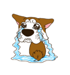 表情豊かな犬のぽんちゃん（個別スタンプ：34）