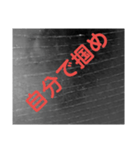 名言のような言葉（個別スタンプ：1）