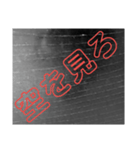 名言のような言葉（個別スタンプ：14）