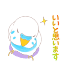 セキセイインコのしろさん（個別スタンプ：8）