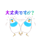 セキセイインコのしろさん（個別スタンプ：12）