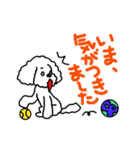 KAZUゆるわんこスタンプ（個別スタンプ：24）
