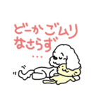 KAZUゆるわんこスタンプ（個別スタンプ：36）