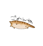 もちっとしたねこのスタンプ（個別スタンプ：11）