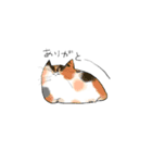 もちっとしたねこのスタンプ（個別スタンプ：13）