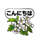 夏のお花たち（個別スタンプ：2）