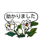 夏のお花たち（個別スタンプ：17）