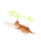 L O V E C A T S（個別スタンプ：8）