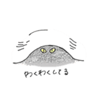 猫用スタンプ（個別スタンプ：13）
