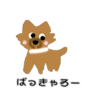 荒ぶるちわわのポッキー（個別スタンプ：5）