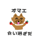 荒ぶるちわわのポッキー（個別スタンプ：8）