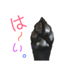 ラブラドールレトリーバーBLACK（個別スタンプ：4）