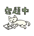 日日ねこじるし（個別スタンプ：19）