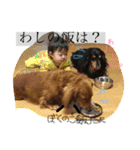 可愛いりんたま（個別スタンプ：7）