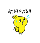 ヒヨコトリ3（個別スタンプ：4）